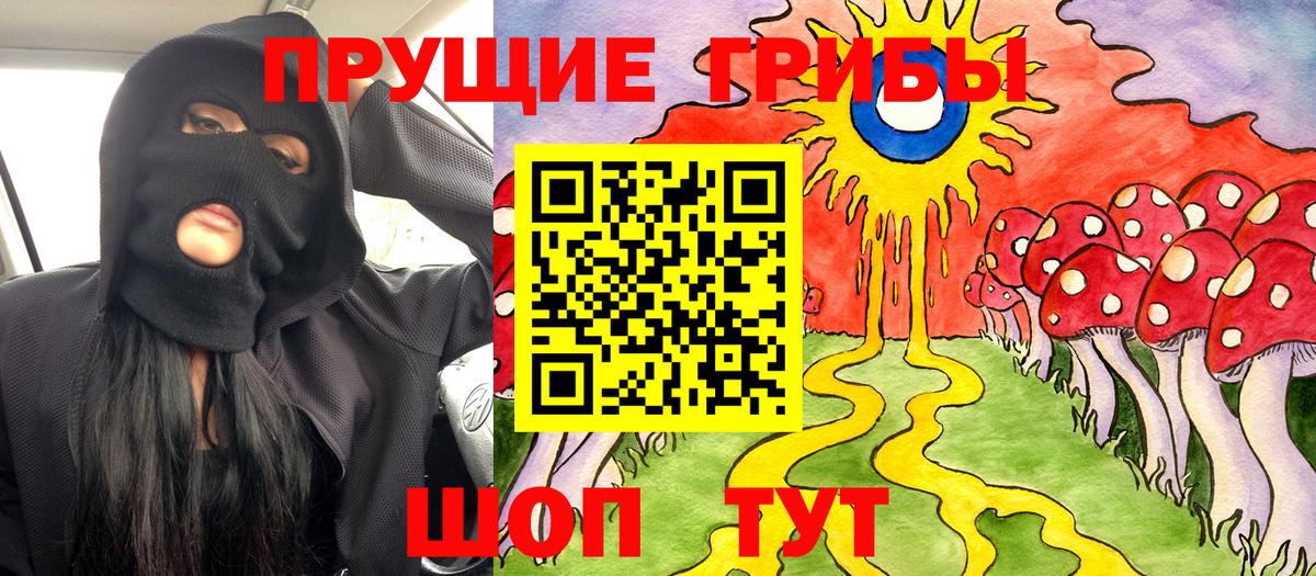 Псилоцибиновые грибы прущие грибы  Вход с VPN  Кинель 
