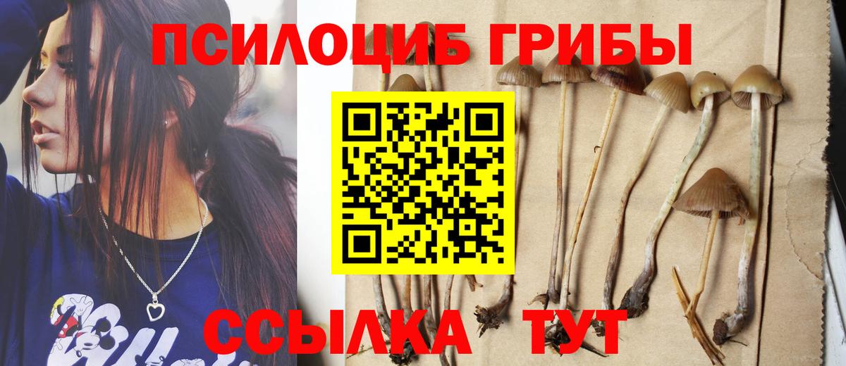 Псилоцибиновые грибы Psilocybine cubensis Кинель